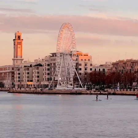 Apartamento D'amar House *